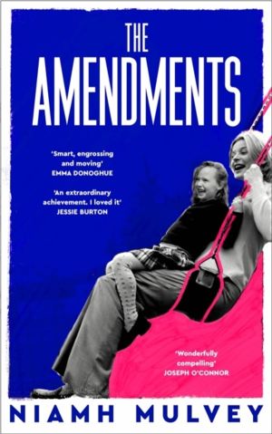 Amendments - the instant Irish bestseller about one family through the gene