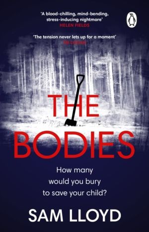 Bodies