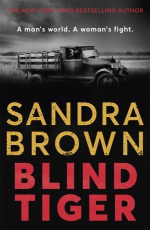 Blind Tiger - a gripping historical novel full of twists and turns to keep