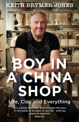 Boy in a China Shop - Perfect for fans of THE GREAT POTTERY THROW DOWN and