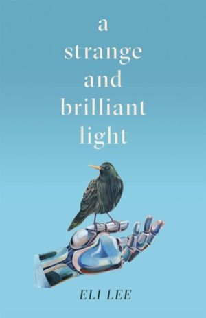 Strange and Brilliant Light: Winner of the Writers' Guild Best First Novel