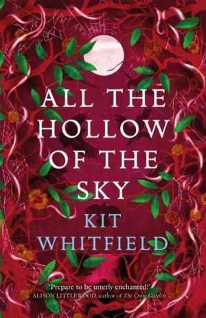 All the Hollow of the Sky - An enthralling novel of fae, folklore and fores