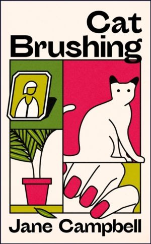 Cat Brushing - a dazzling short story collection about thirteen older women