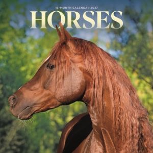 Horses M