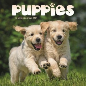 Puppies Mini