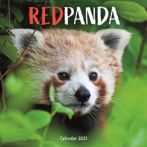 Red Pandas (PFP) W