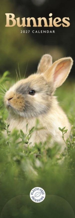 Bunnies (PFP) Slim