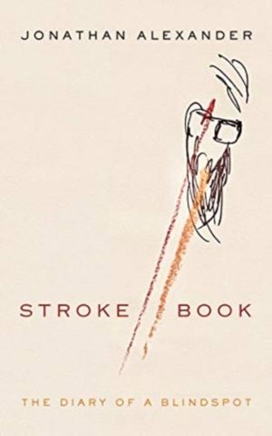Stroke Book - The Diary of a Blindspot