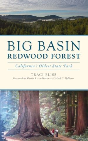 Big Basin Redwood Forest - California's Oldest State Park