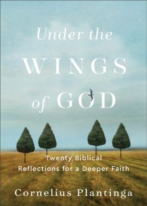 Under the Wings of God ÔÇô Twenty Biblical Reflections for a Deeper Faith