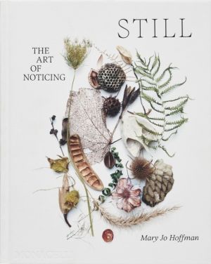STILL - The Art of Noticing