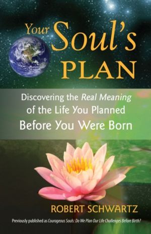Your Soul's Plan - Discovering the Real Meaning of the Life You Planned Bef