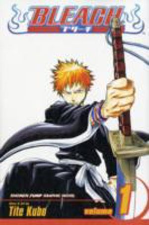 Bleach, Vol. 1
