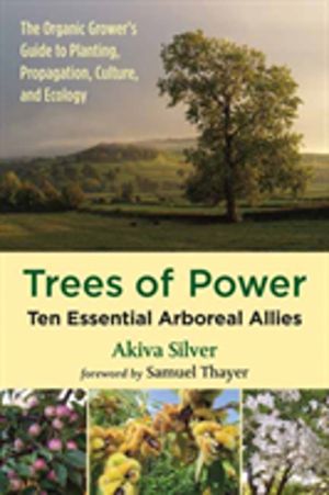 Trees of Power - Ten Essential  Arboreal Allies