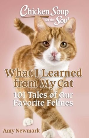 Chicken Soup for the Soul: What I Learned from My Cat - 101 Tales of Our Fa