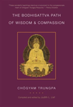 Bodhisattva Path of Wisdom and Compassion (volume 2) - The Profound Treasur