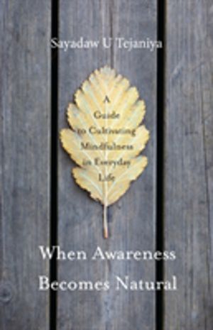 When Awareness Becomes Natural - A Guide to Cultivating Mindfulness in Ever