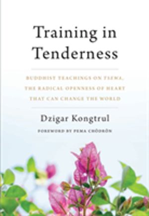 Training in Tenderness - Buddhist Teachings on Tsewa, the Radical Openness