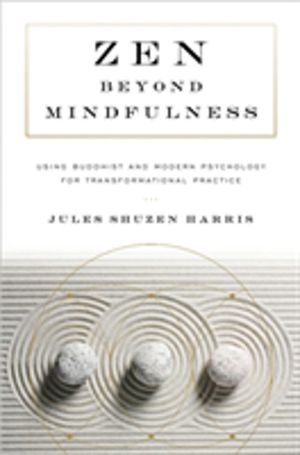 Zen beyond Mindfulness - Using Buddhist and Modern Psychology for Transform