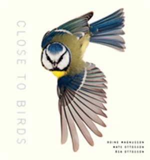Close to Birds - An Intimate Look at Our Feathered Friends