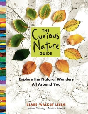 Curious Nature Guide - Explore the Natural Wonders All Around You