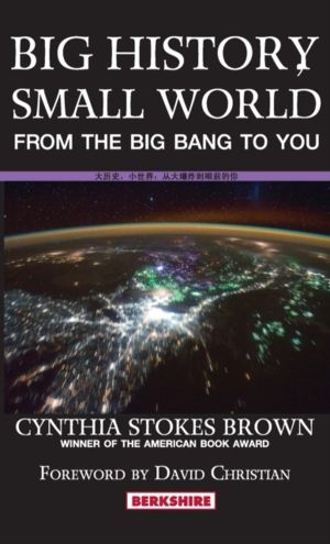 Big History, Small World - From the Big Bang to You