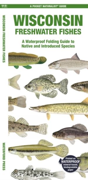 Wisconsin Freshwater Fishes - A Folding Pocket Guide to Native and Introduc