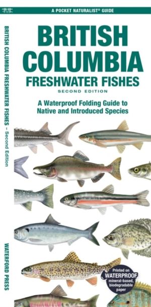 British Columbia Freshwater Fishes - A Folding Pocket Guide to Native and I