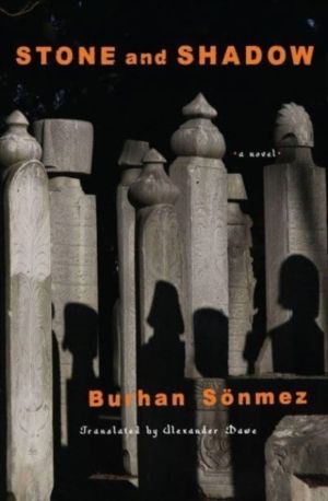Stone and Shadow - A Novel