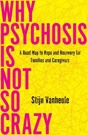 Why Psychosis Is Not So Crazy - A Road Map to Hope and Recovery for Familie