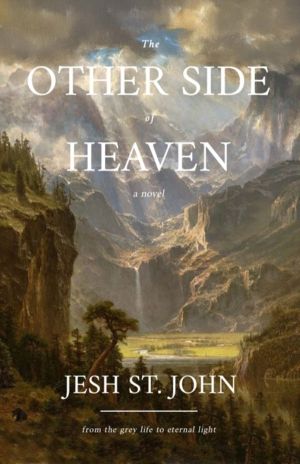 Other Side of Heaven ÔÇô A Novel - from the grey life to eternal light