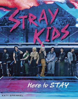 Stray Kids - Here to STAY