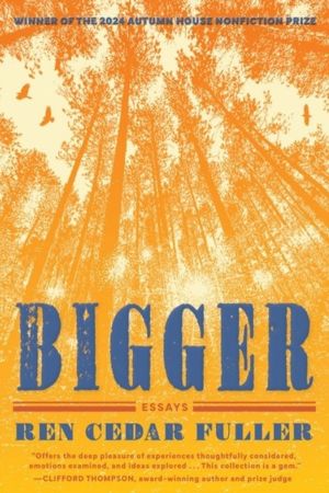 Bigger - Essays