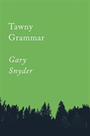 Tawny Grammar - Essays