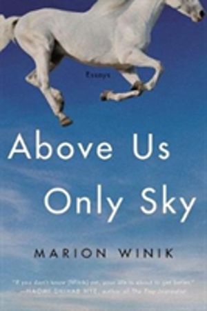 Above Us Only Sky - Essays