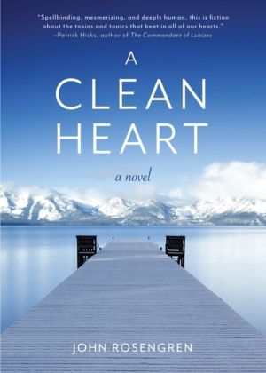 Clean Heart - A Novel (Alcoholism, Dysfunctional Family, Recovery, Redempti