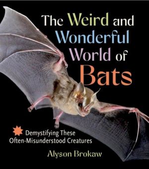 Weird and Wonderful World of Bats - Demystifying These Often-Misunderstood