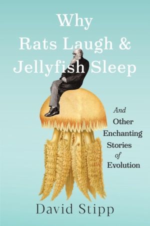 Why Rats Laugh and Jellyfish Sleep - and Other Enchanting Stories of Evolut