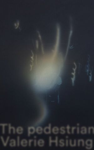 pedestrian