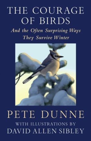 Courage of Birds - And the Often Surprising Ways They Survive Winter