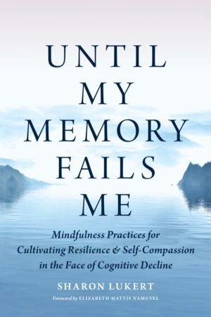 Until My Memory Fails Me - Mindfulness Practices for Cultivating Resilience