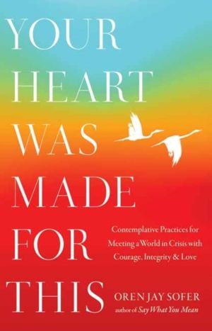 Your Heart Was Made for This - Contemplative Practices for Meeting a World