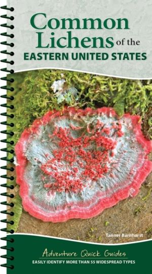 Common Lichens of the Eastern United States - Easily Identify 58 Widespread