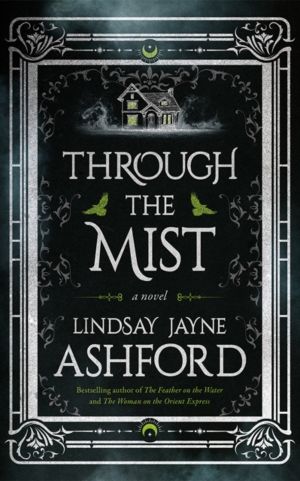 Through the Mist - A Novel