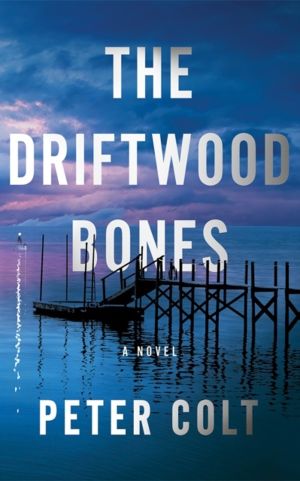 Driftwood Bones - A Novel