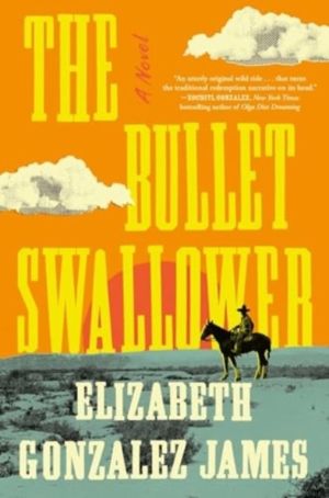 Bullet Swallower - A Novel