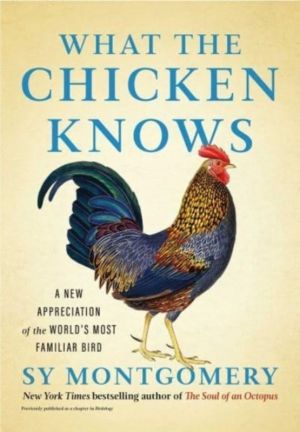 What the Chicken Knows - A New Appreciation of the World's Most Familiar Bi