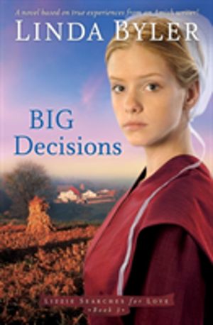 Big Decisions - A Novel Based On True Experiences From An Amish Writer!