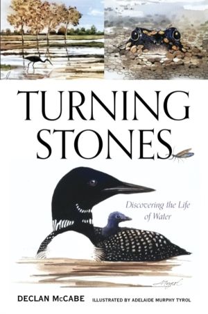 Turning Stones - Discovering the Life of Water