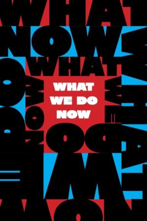 What We Do Now - Standing Up for Democracy in America